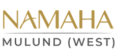 logo-1