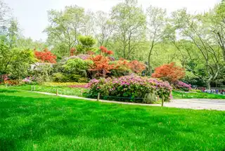 landscaped